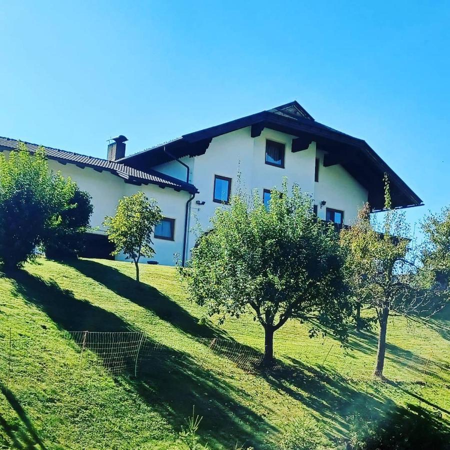 Ferienwohnung Schaller Feistritz an der Drau Eksteriør bilde