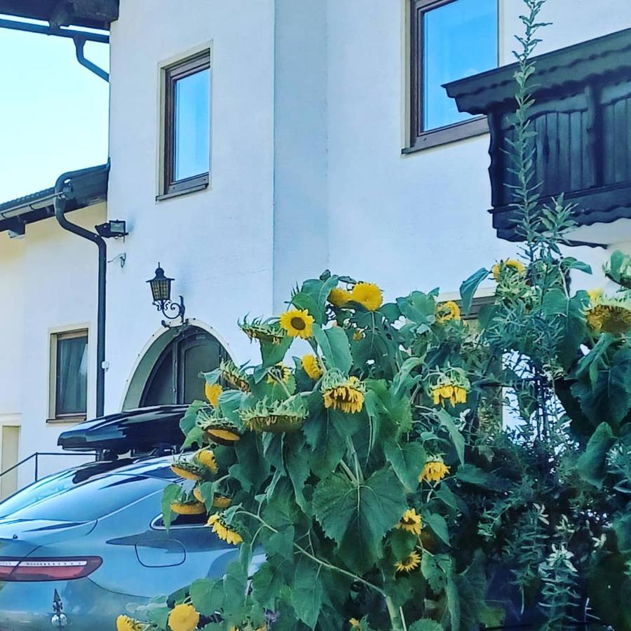 Ferienwohnung Schaller Feistritz an der Drau Eksteriør bilde