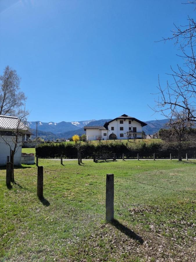 Ferienwohnung Schaller Feistritz an der Drau Eksteriør bilde