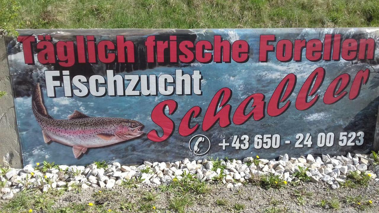 Ferienwohnung Schaller Feistritz an der Drau Eksteriør bilde